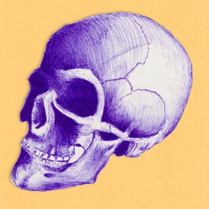 Skull_Drawing_by_BarefootArtist